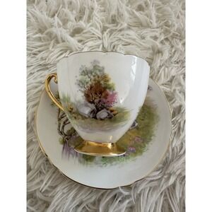 Shelley England Tea Cup